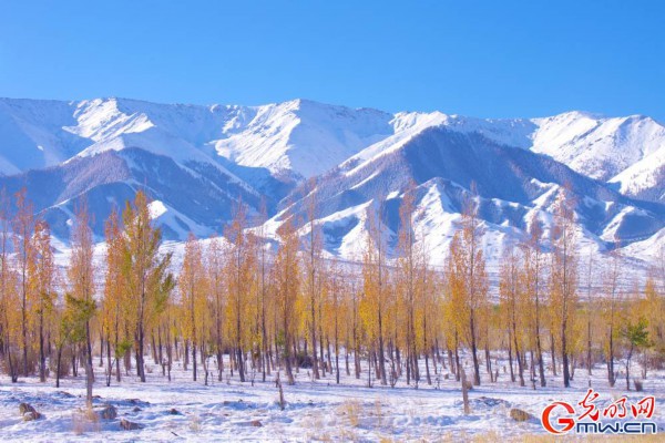 Xinjiang: What a fairyland!