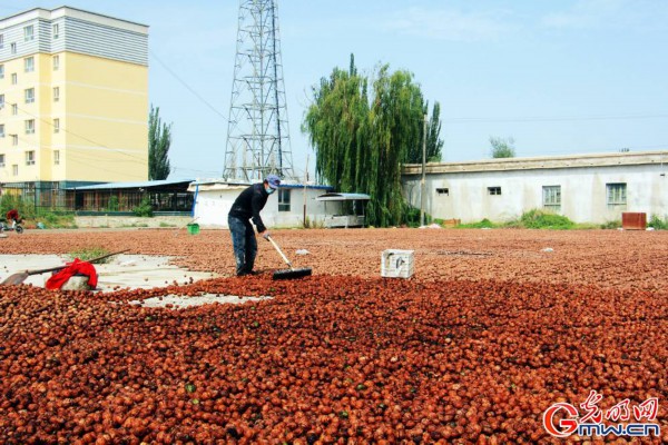 Xinjiang: What a fairyland!