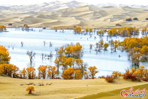 Xinjiang: What a fairyland!