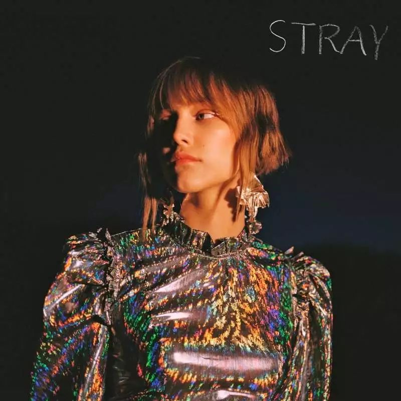 ѧӢġStray - Grace VanderWaal