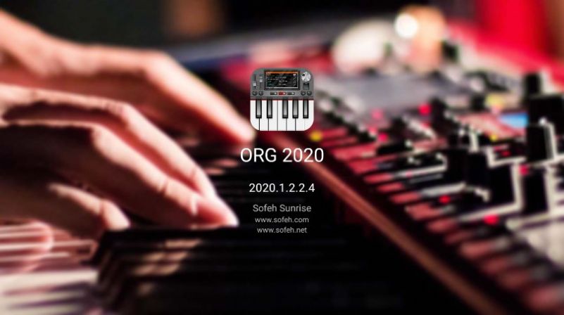 ORG2020߼ֻ  v2020.1.2.2.4