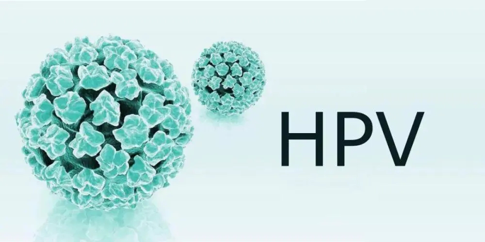 ȾHPV󣬼סĵ㣬ת